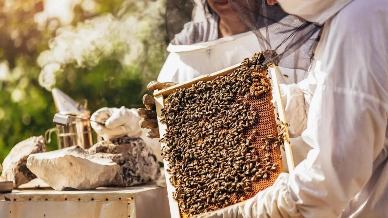 Včelí úly pro pestrou krajinu!