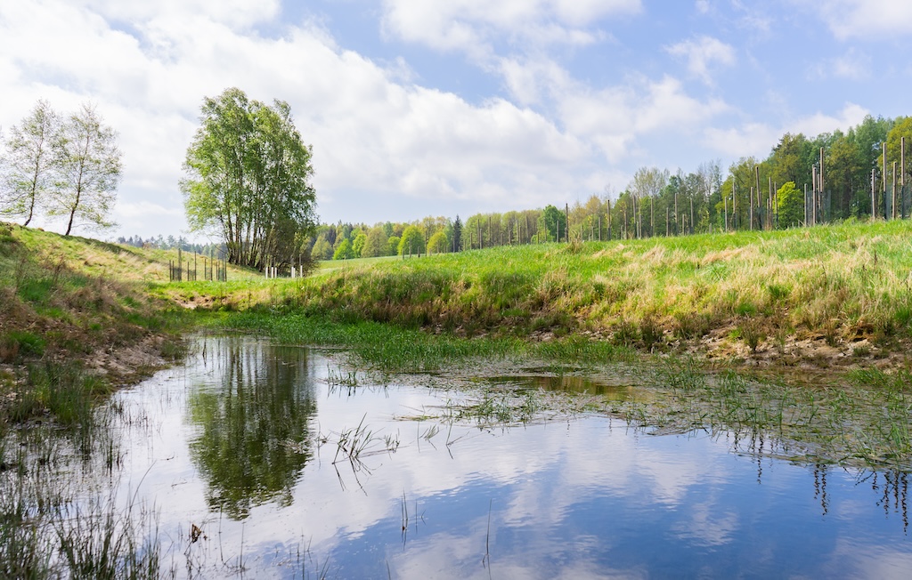 Rybník může být bezedná tůň na vaše úspory